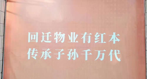 深圳遍地“咚咚咚” 挖掘機聲為何成了“新特產”？